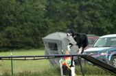 Enlarge photo 85