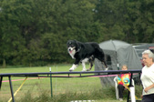 Enlarge photo 86