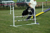 Enlarge photo 92