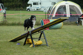 Enlarge photo 93