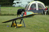 Enlarge photo 94
