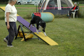 Enlarge photo 95