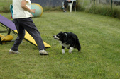 Enlarge photo 96