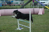 Enlarge photo 97