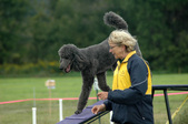 Enlarge photo 98