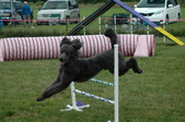 Enlarge photo 102