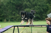 Enlarge photo 103