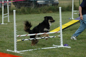 Enlarge photo 105