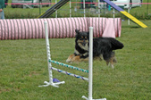 Enlarge photo 108