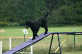 Enlarge photo 109