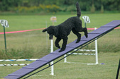 Enlarge photo 110
