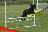 Enlarge photo 111