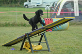 Enlarge photo 112
