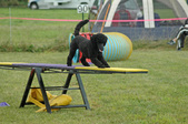 Enlarge photo 113