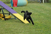 Enlarge photo 114