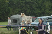 Enlarge photo 115
