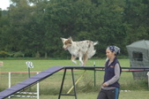 Enlarge photo 116