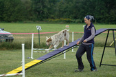 Enlarge photo 117