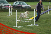 Enlarge photo 118