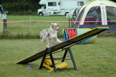 Enlarge photo 119