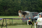 Enlarge photo 122