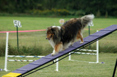 Enlarge photo 124