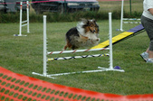 Enlarge photo 126