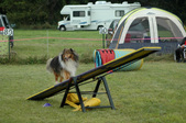 Enlarge photo 127