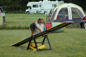 Enlarge photo 128