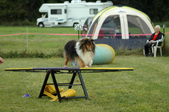 Enlarge photo 129