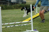 Enlarge photo 132