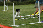 Enlarge photo 133