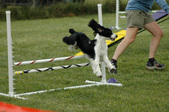 Enlarge photo 134