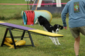 Enlarge photo 135