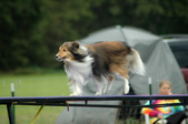 Enlarge photo 137