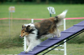Enlarge photo 138