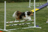 Enlarge photo 139