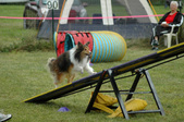 Enlarge photo 140