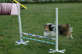 Enlarge photo 141