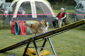 Enlarge photo 142