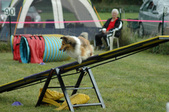 Enlarge photo 143