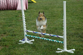 Enlarge photo 144