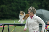 Enlarge photo 146