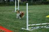 Enlarge photo 148