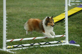 Enlarge photo 149