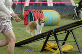 Enlarge photo 150