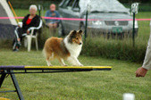Enlarge photo 151