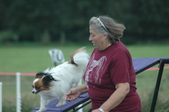 Enlarge photo 153