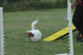 Enlarge photo 154