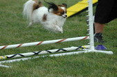 Enlarge photo 155